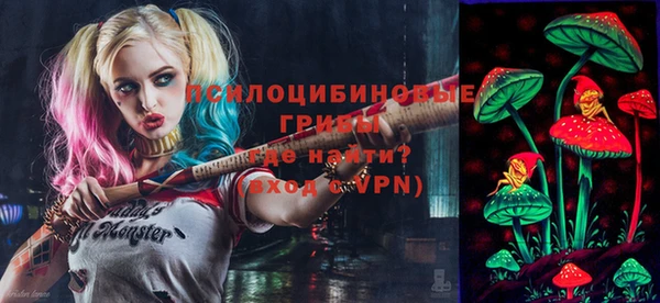 ПСИЛОЦИБИНОВЫЕ ГРИБЫ Усмань