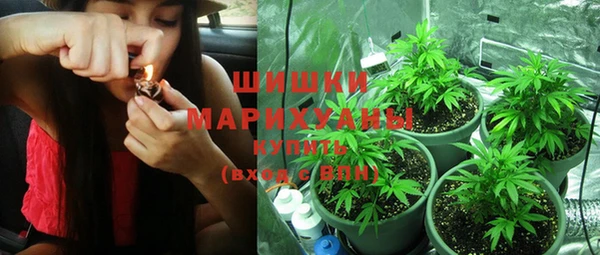 стаф Нефтегорск