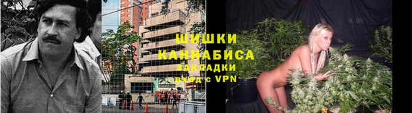 прущий лед Горно-Алтайск