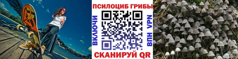 Галлюциногенные грибы Psilocybe Облучье